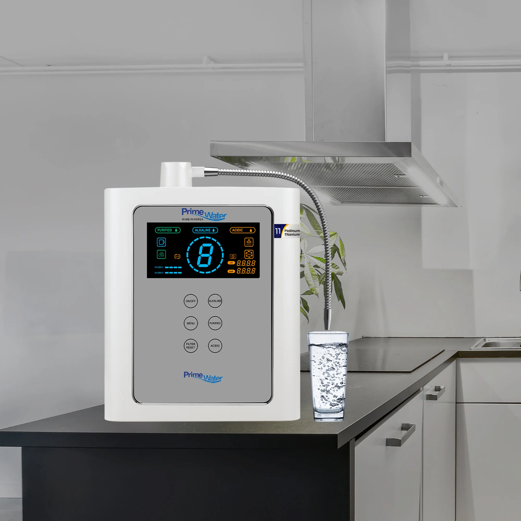 Alkaline Water Ionizer – 11 Plate Model